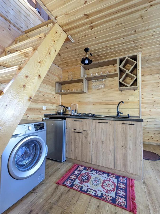 Cottage Caucasus كازباجي المظهر الخارجي الصورة